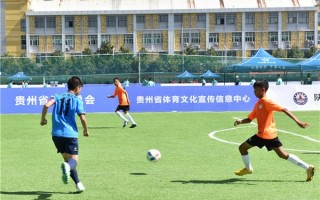 今日贵阳有足球赛吗，今日贵阳金价查询