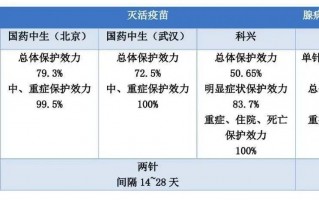 海和can是哪两个足球队伍，海和什么意思